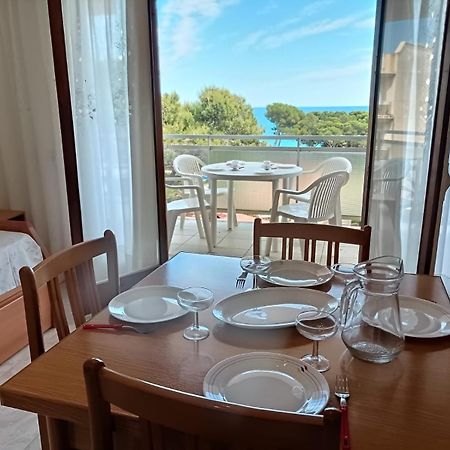 Miami Apartamento Mestres 미아미플라자 외부 사진